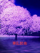 �褵�������������