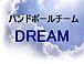 DREAM����������