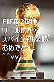 FIFA２０１０WCの夢よ再び！