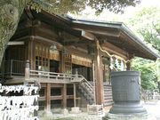 ���Ե���ӻ�����