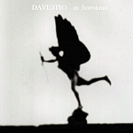 ���ӥǥ���-davidtio-