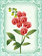 *花咲き山*