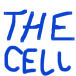 THE CELLは枕にぴったり( > 艸<)