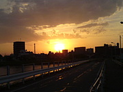 ����( ���确)