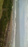 ���������َ������£¡�surf