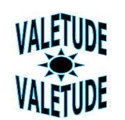 ��VALETUDE��