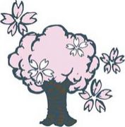 ξ����ع���  ��������