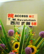 accessTMR