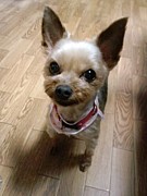 ���졼���ر�������