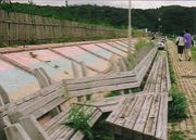 ������Ĺ���٥���˰��Ƥ˺¤��