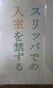 򸫾夲ȹԤ뵤