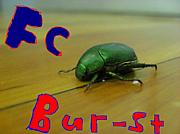 FC　Bur-st