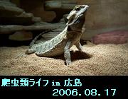 �����饤�� in ����