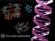 Tsuruoka Lov(�Წ���漼)