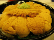 ����Ԥ����ץ����