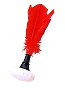 ����ǥ�����in����