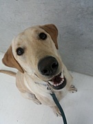 �� ������� ��