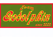 Team Godolphin