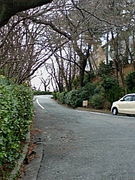 ��ë�쾮�ع���