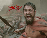 ���ܤ����ƹ���