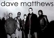 Dave matthews band lovers