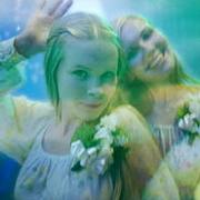 the Virgin Suicides