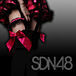 SDN48 2期生