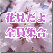 �ָ����衪��������