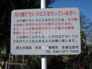 河川敷モトクロス