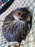 �����ͧ�β�ʎЎ������ǡ�