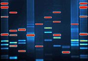 DNA Art : from uk