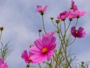 �ؤ���äȹ����ġ��ġ�