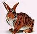 Team  Tiger  S61.62