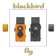 [BBF]blackbird,fly[ニ眼トイ]