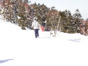 kitty-hawk �����