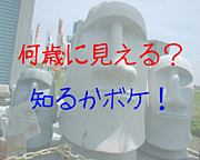 Ф˸롩äʹ