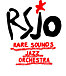 Rare Sounds Jazz Orchestra