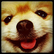 �ΎߎҤ�����繥�����ҡ�