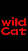 （wild Cat）
