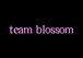 team blossom(١)
