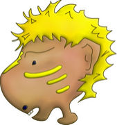 �����ù���