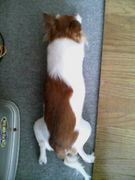 なんでも写真館☆