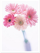 心咲ちゃんのパパ・ママ集まれ〜