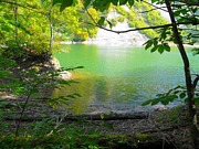 �ȥ�å��󥰡�̾�Ų�