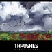 Thrushes