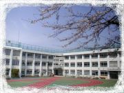 �䶶��;��ع�1995ǯ´����