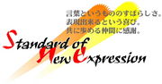 Standard of new expression