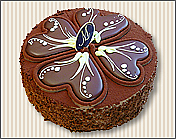 ȡ�ۡ��ץƥ� ����������