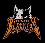 -BLACK FOX-