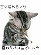 ���ۤ����결��